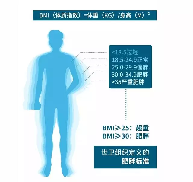 脂肪肝會逆轉還是會癌變?主要取決於這5點