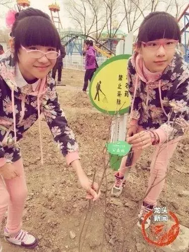 一出生就「腦癱」的雙胞胎女兒,媽媽用愛「堅守14年」如今成學霸!感謝她讓我們懂得如何做人