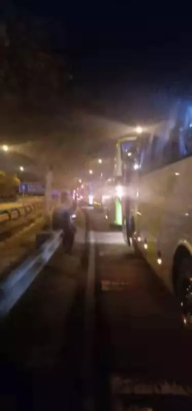 馬新關卡從白天等到黑夜像話嗎?「遊客乾脆下車跳舞自娛娛人」(內附視頻)