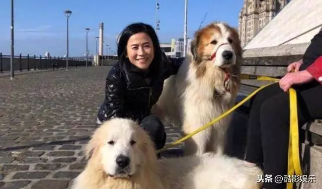 宣萱旅遊爆狗狗照片,網友耐不住點鴛鴦譜,古天樂躺槍!