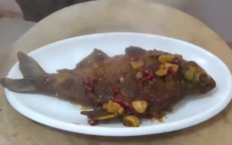 紅燒魚最正宗的做法,做法秘訣告訴你,吃過一次就念念不忘