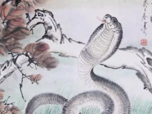 算命師預言:3月過後,有意外喜訊傳來的生肖,有你嗎?