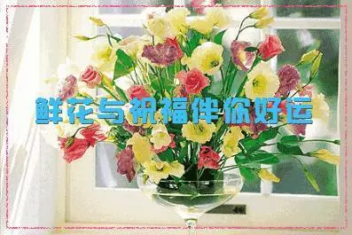 今天12生肖為您送福,太珍貴了,百年難得一見【請接福~】