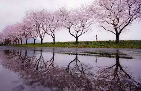 風水大師提醒,千萬不要在家做這10件事!真的有風水一說?!!