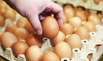 腎病患者每天堅持吃1個雞蛋,90天後化驗膽固醇,甘油三酯和膽固醇的變化,讓醫生都驚訝了