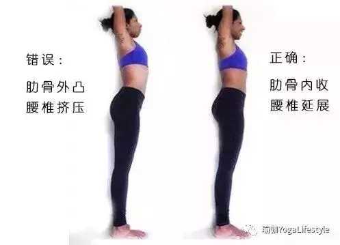 瑜伽延展脊柱,你真的延展對了嗎?