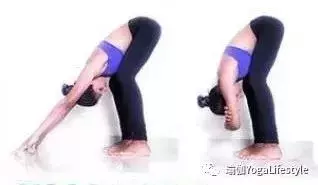 瑜伽延展脊柱,你真的延展對了嗎?