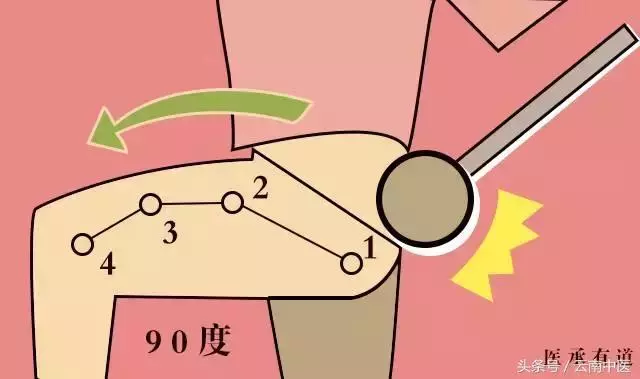 肝髒好不好,看中指根!