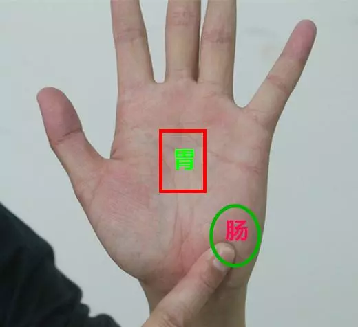腸胃好不好,手掌有「提示」,伸手出來看看,自己是不是腸胃差