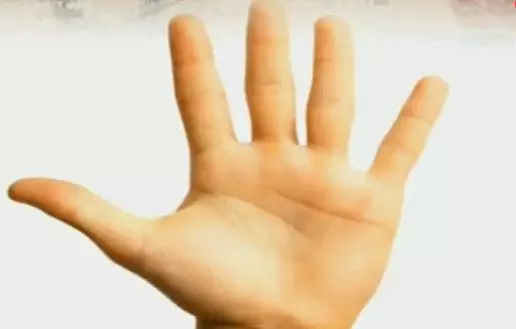 腸胃好不好,手掌有「提示」,伸手出來看看,自己是不是腸胃差