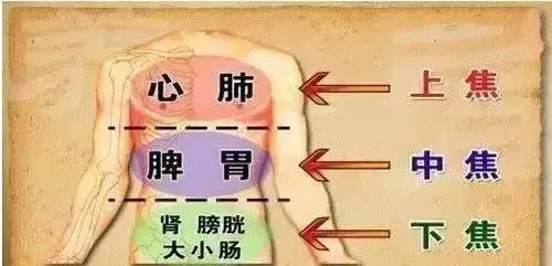 三焦主升降諸氣和通行水液,怕堵!看看你的三焦堵到什麼程度