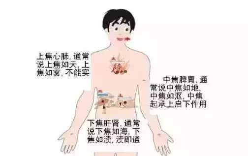 三焦主升降諸氣和通行水液,怕堵!看看你的三焦堵到什麼程度