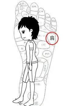 疏通經絡,負面情緒自然消失!(12經絡與情緒對應表)