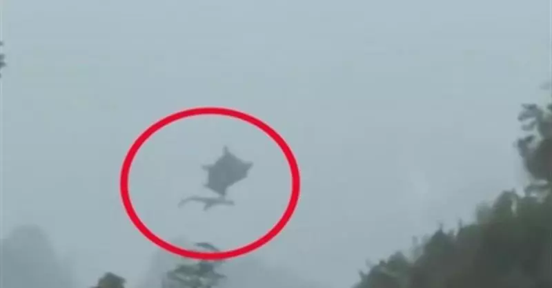 是真的!老外去大陸登山又拍到龍?這次更大隻!更清楚了