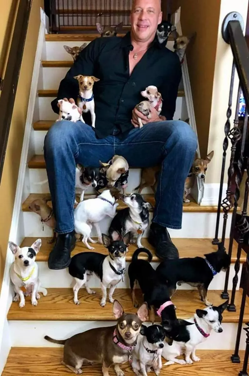 鐵漢柔情《吉娃娃救援者》喜歡大犬的硬漢因緣際會成為小狗迷 每天被吉娃娃包圍超幸福♥