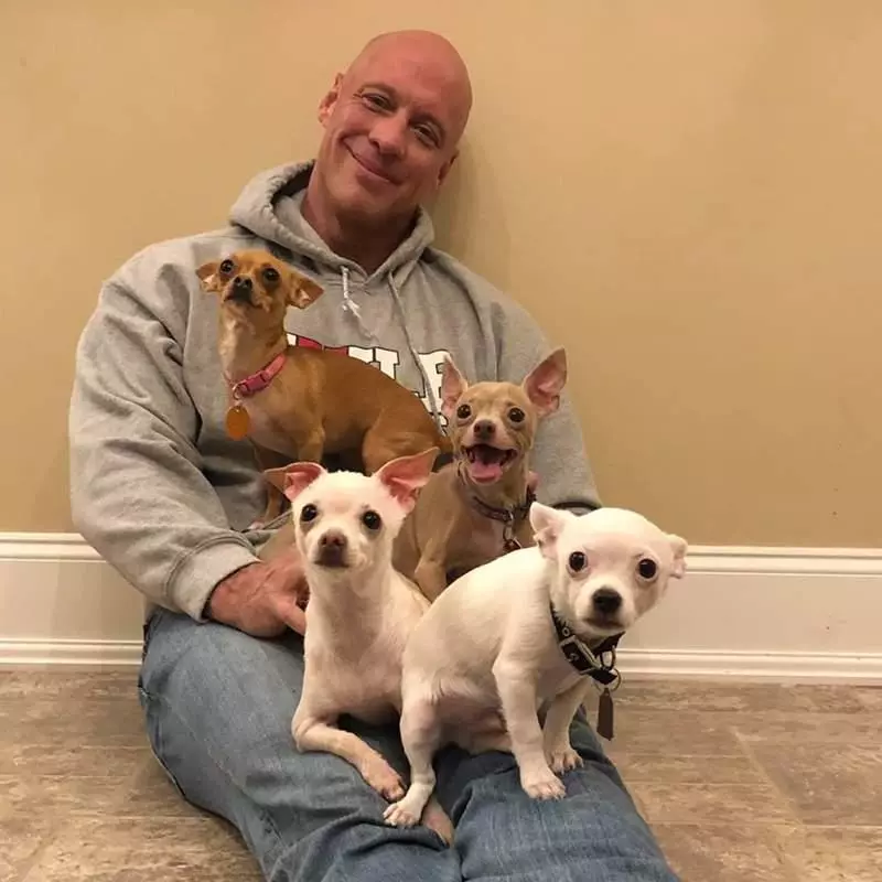 鐵漢柔情《吉娃娃救援者》喜歡大犬的硬漢因緣際會成為小狗迷 每天被吉娃娃包圍超幸福♥