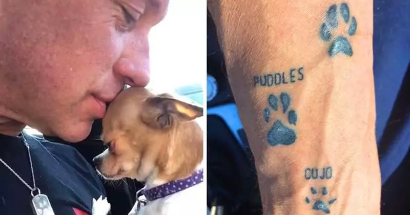 鐵漢柔情《吉娃娃救援者》喜歡大犬的硬漢因緣際會成為小狗迷 每天被吉娃娃包圍超幸福♥