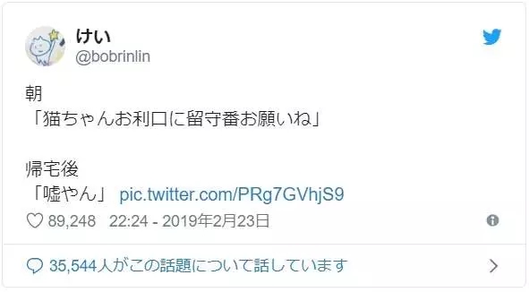 《把紙箱交給貓的下場》不對,這不是我以為會看到的結果啊...