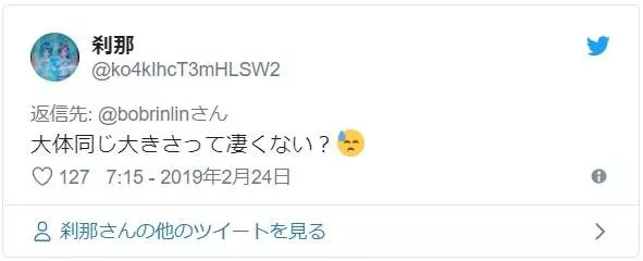 《把紙箱交給貓的下場》不對,這不是我以為會看到的結果啊...