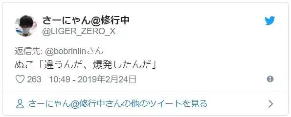《把紙箱交給貓的下場》不對,這不是我以為會看到的結果啊...