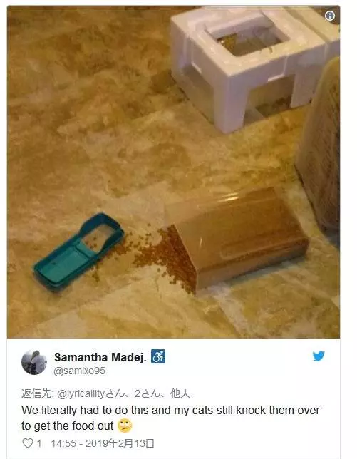 《貓的男友力》讓網友驚嘆貼心到不行的喵星人