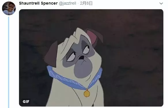 《貓的男友力》讓網友驚嘆貼心到不行的喵星人