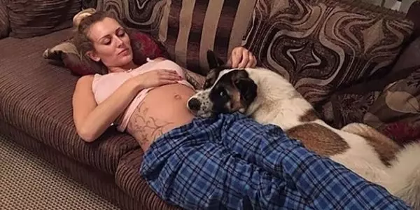 她懷孕20週時發現愛犬行為異常好像在哭,去了醫院檢查醫生竟對她說「差點一屍兩命啊」!
