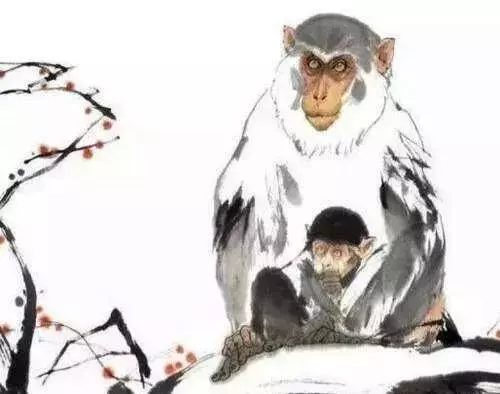 家有屬「猴馬牛雞虎」的人嗎?請為了他們轉,2019年轉出財運來!