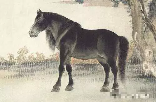 家有屬「猴馬牛雞虎」的人嗎?請為了他們轉,2019年轉出財運來!