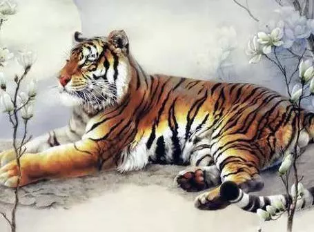 家有屬「猴馬牛雞虎」的人嗎?請為了他們轉,2019年轉出財運來!