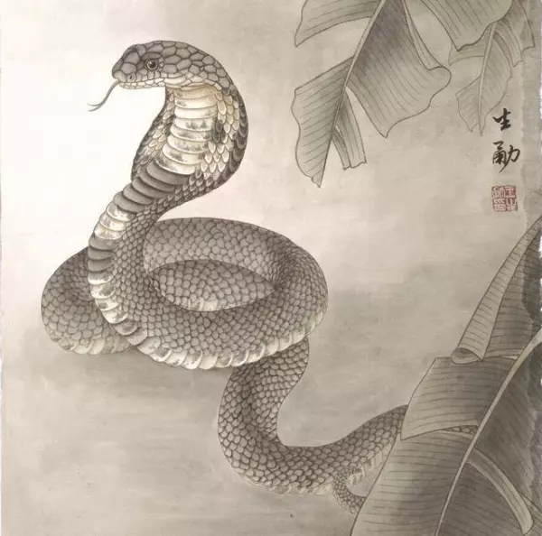 不要不相信,清明節前,必發一筆橫財的5大生肖,雙手雙腳數錢!