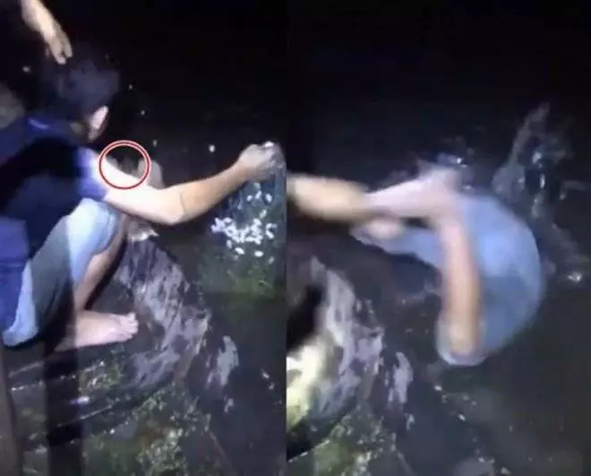 河童抓交替?夜間捕魚慘遭「神秘鬼手」一把拉入水...網回播重看:真的有還超明顯