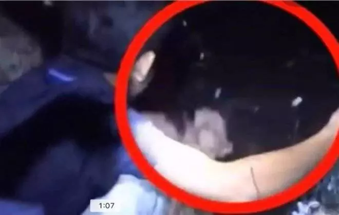 河童抓交替?夜間捕魚慘遭「神秘鬼手」一把拉入水...網回播重看:真的有還超明顯