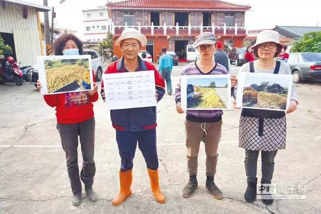 罵假訊息當遮羞布 扭曲是非