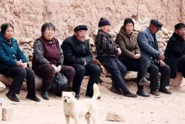 拾荒老人收養殘疾男孩,男孩是天才,父母來認別有居心