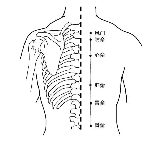 胃疼、胸悶、睡不好怎麼辦?這2個穴位常按常刮,讓你會有意想不到的效果