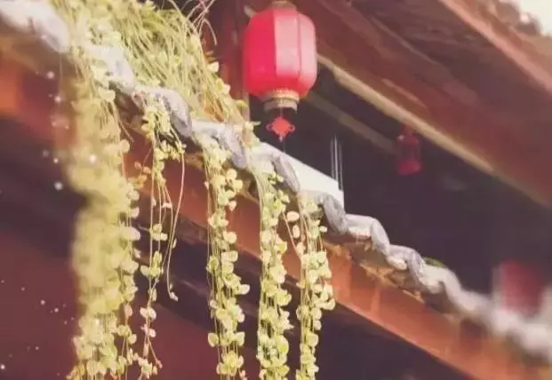 世界上,有種幸福叫做「微笑」。