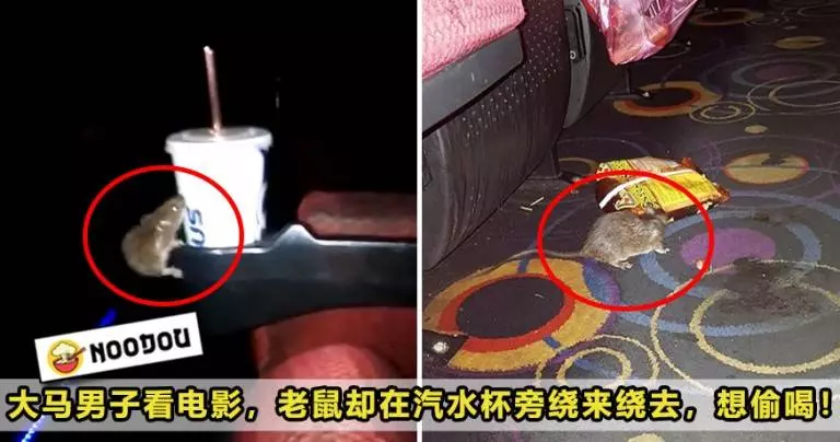 【把戲院當炮房?】前員工爆料情侶們都愛在TGV Beanie上演「活春宮」,電影院公司回應了!