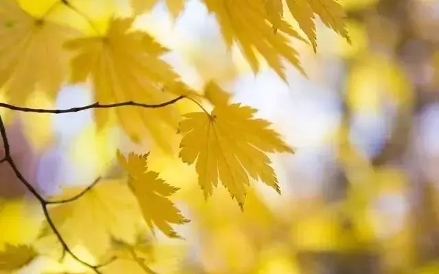 人要靠自己,除了自己,沒人能幫你!!