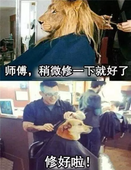監視器不小心拍到的一幕......讓我重複看了三遍!XDD~~