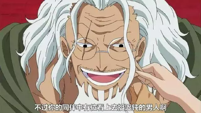 海賊王:索隆身上最大的毛病,耕四郎教不會他霸氣,雷利不敢教他