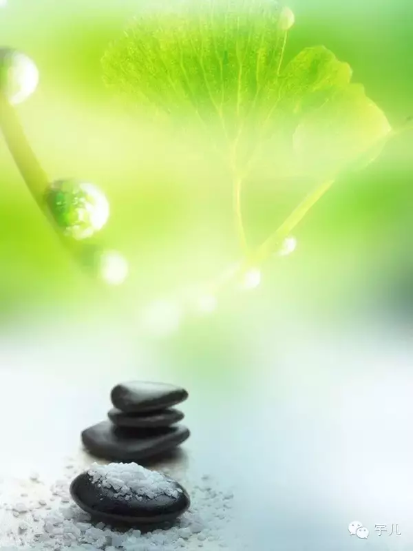 種什麼因得什麼果,施什麼心得什麼報