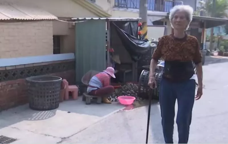 84歲駝背阿嬤撞柱「仰後一摔」 竟神奇痊癒站直,醫生傻眼,全網驚呆:因禍得福