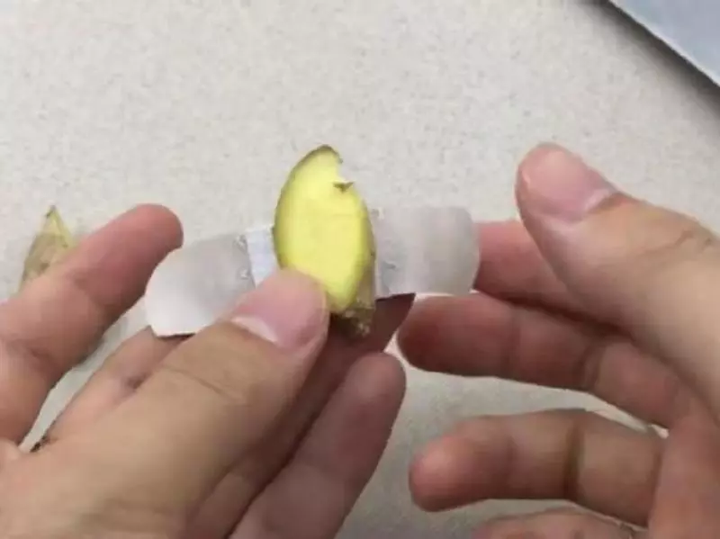 生薑抹在腳上太厲害了,可惜知道的人並不多,學會受用一輩子