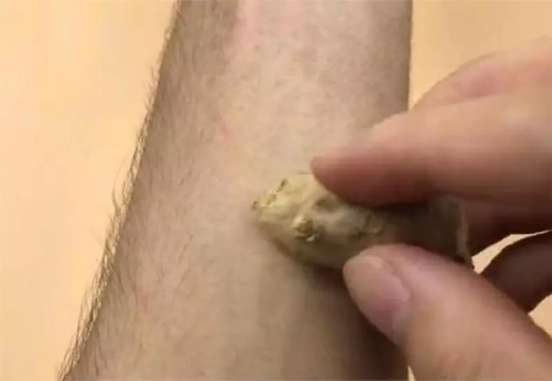 生薑抹在腳上太厲害了,可惜知道的人並不多,學會受用一輩子