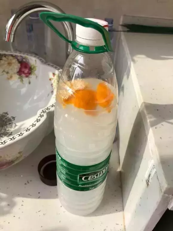 2種「天然營養水」,每周澆1次,吊蘭新枝猛躥,文竹爬滿牆!