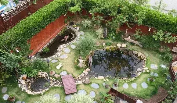 2種「天然營養水」,每周澆1次,吊蘭新枝猛躥,文竹爬滿牆!