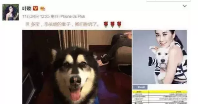 她曾是古裝第一美人,卻被葉璇的狗咬「毀容」,整容3次仍沒翻身