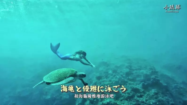 我屏東我驕傲!才女自創「日文觀光歌推台灣」爆紅 新作「清新說唱譜出屏東之美」勇奪國際大獎