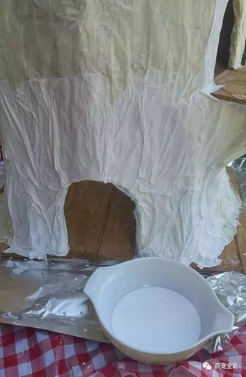 貓奴決心給愛貓做一個獨一無二的貓爬架,最終做成了一棵參天大樹